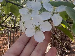 -北镇龙岗子生态园