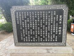 -定园