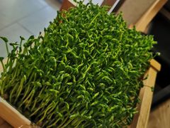 -左庭右院鲜牛肉火锅(浦江欢乐颂店)