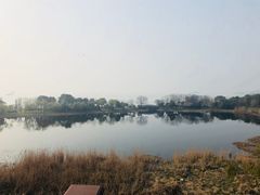 -上海市保健医疗中心(华东疗养院)
