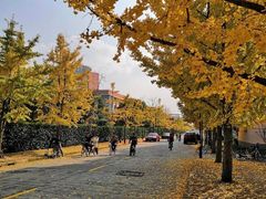 -四川大学(江安校区)