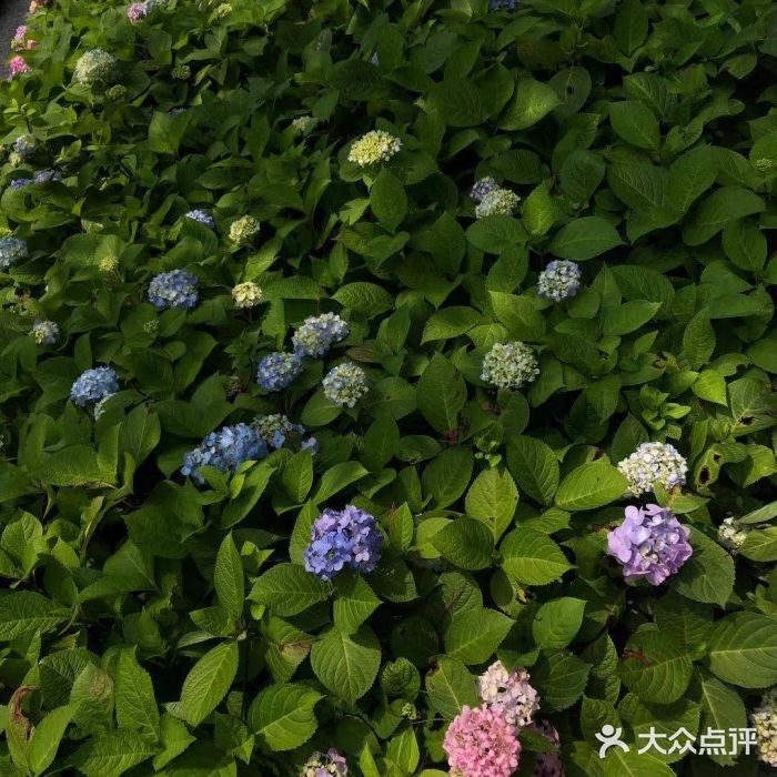 2048香辣虾(七星岗店)图片