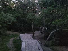 -甘井子公园