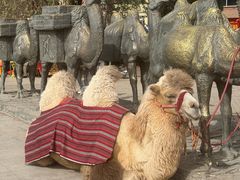 -艾提尕尔清真寺