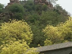 -爱情山风景区