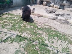 -黔灵山公园