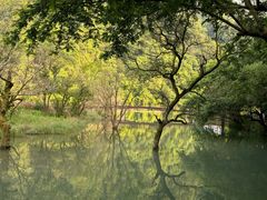 -五泄景区
