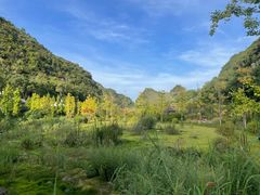 -高荡千年布依古寨旅游景区