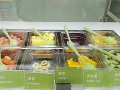 -Salud撒露欧洲冻酸奶(798艺术区店)