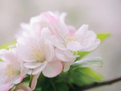 -古北壹号