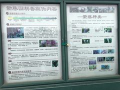 -嘉定紫藤园