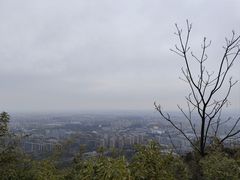 -杭州半山国家森林公园