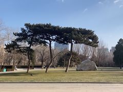 -北京理工大学(中关村校区)
