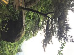 石门涧悬索桥-石门涧