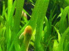 -上海海洋水族馆