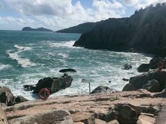 -广东惠东海龟国家级自然保护区