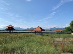 -青龙湖公园