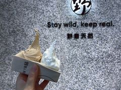 -野人先生Gelato(上海长宁龙之梦店)