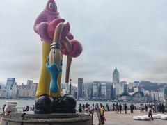 -星光大道