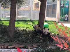 -西安秦岭野生动物园