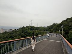 -金鸡山公园