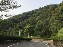 -火炉山森林公园