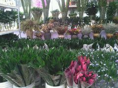 -秦美花卉(天朗·莱茵小城2期店)