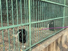 -秦皇岛野生动物园