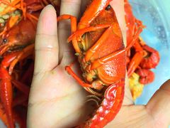 -虎虎龙虾•9年湖北匠(双井店)