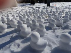 -国家图书馆·古籍馆