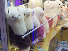 -PAWTOY爪e玩偶店(天兴罗斯福店)