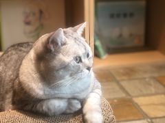 -隅cafe(傅厚岗店)