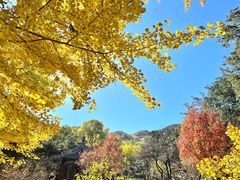 -香山公园
