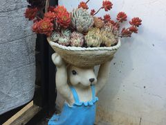 -浔岚云舍mist静谧观景美宿(丽江古城店)