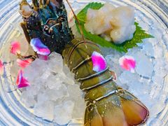 -Mr.Fish鱼鲜生海鲜放题(高德置地冬广场店)