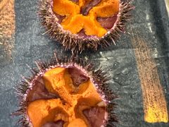 -海胆小馆(东北水饺·春柳店)