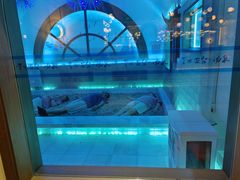 -青水瓦台汤泉(未央店)