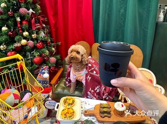 扬州首家！可以跟毛孩子一起喝的下午茶！！