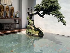 -觀芷隐轩