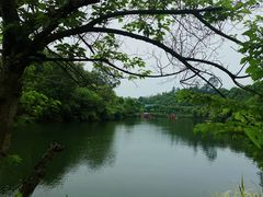 -黄龙溪欢乐田园