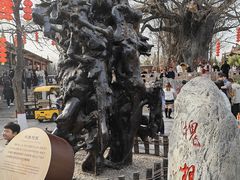 -大槐树寻根祭祖园