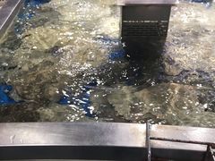 -盒马鲜生(莱蒙都会店)