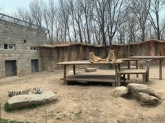 -北京野生动物园