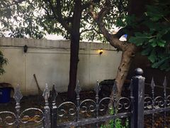 -二楼南书房