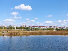 -鹦鹉洲湿地公园