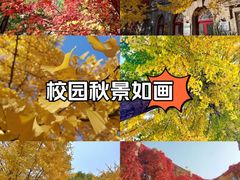 -辽宁大学(崇山校区)
