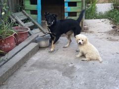 -美家乐农庄·露营·团建(大治路店)