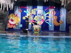 -郑州海洋馆