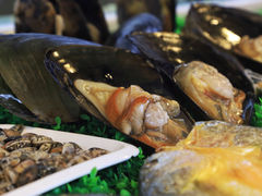 -昆仑和悦酒店(青岛奥帆中心五四广场店)