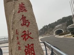 -燕儿岛山公园